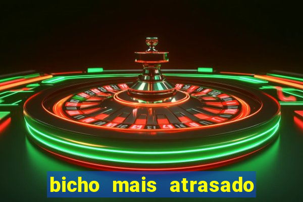 bicho mais atrasado na bahia